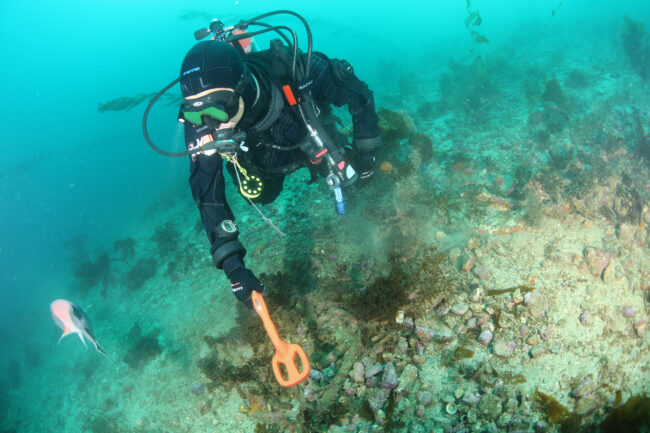 scuba tector1