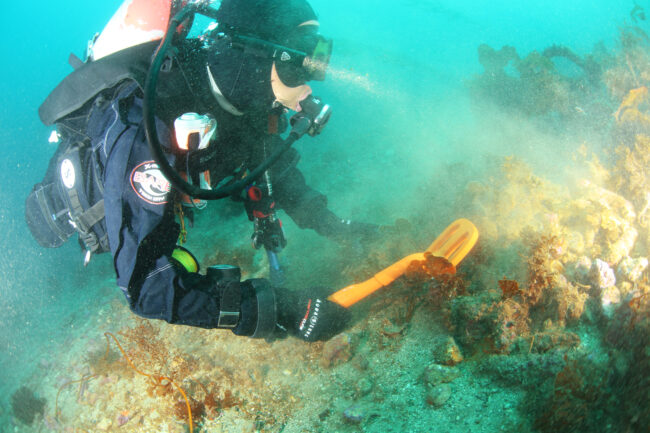 scuba tector3